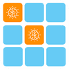 Brain 100 – Mastering the Memory Card Challenge